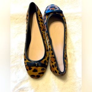 NWT Ted Baker Ballerina Flats Size 8